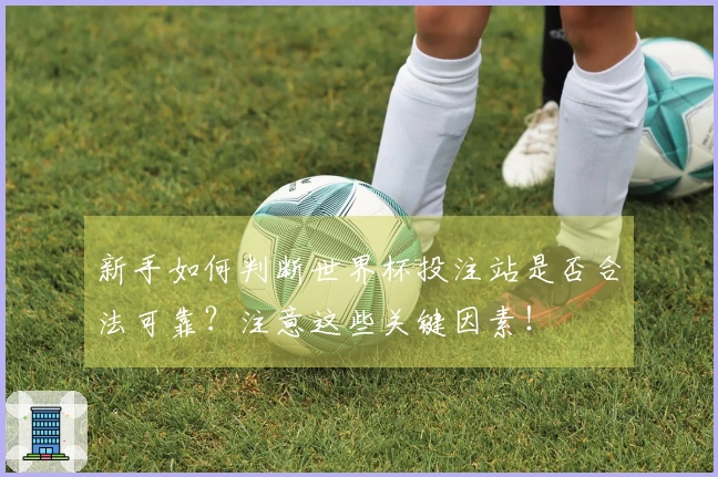 新手如何判断世界杯投注站是否合法可靠？注意这些关键因素！