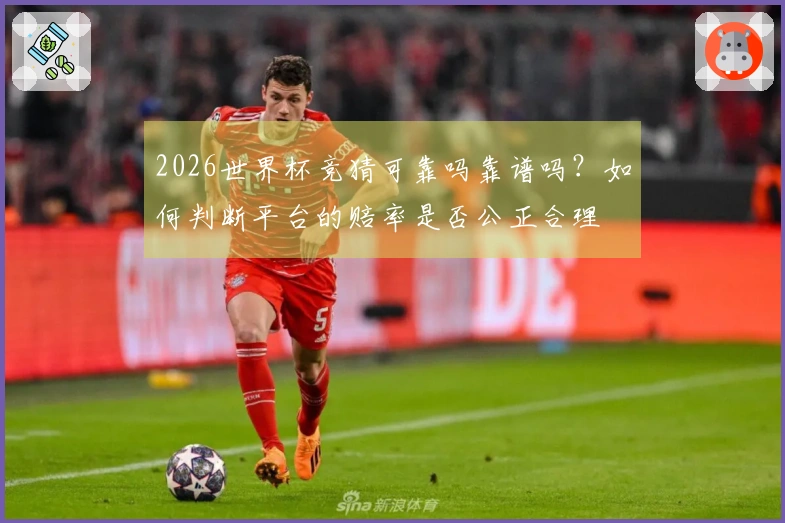 2026世界杯竞猜可靠吗靠谱吗？如何判断平台的赔率是否公正合理