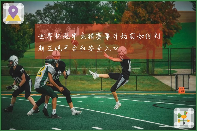 世界杯冠军竞猜赛事开始前如何判断正规平台和安全入口
